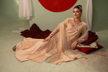 DS-06 Premium Chiffon 3PC Suit with Embroidered Front & Back