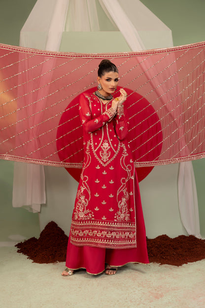DS-02 Elegant Chiffon 3PC Suit with Embroidered Borders