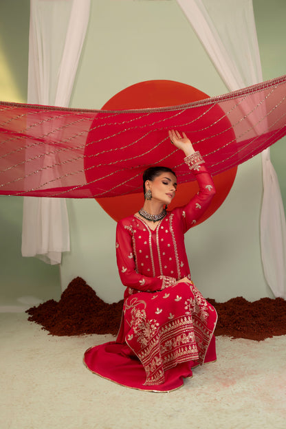 DS-02 Elegant Chiffon 3PC Suit with Embroidered Borders