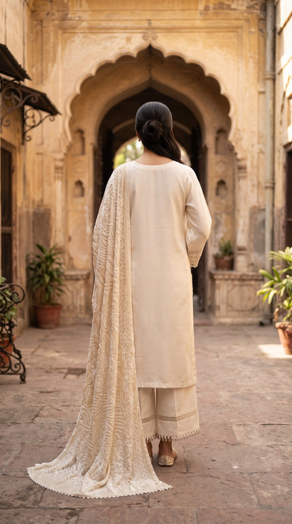 3PC Embroidered Dhanak Suit | DC - 05