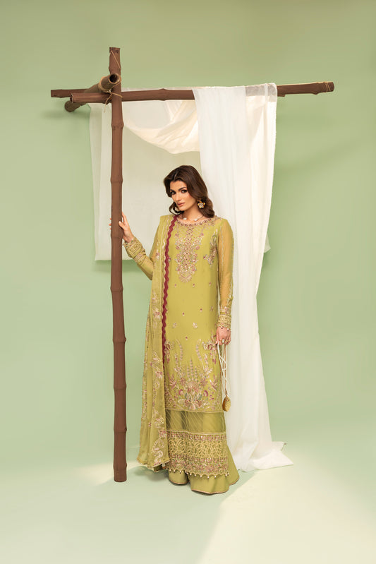 Embroidered chiffon dress with soft silk trouser and lining
