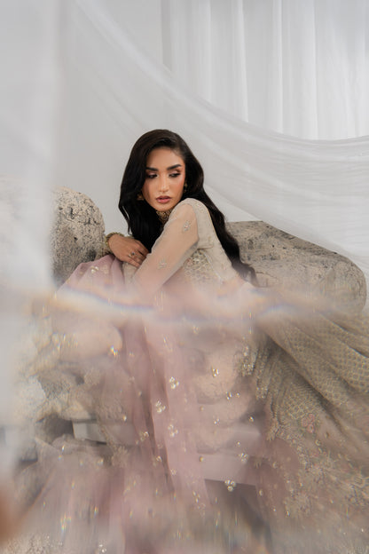 Designer Pakistani lehenga featuring rich organza embroidery across the front, back, sleeves, and lehenga panels, finished with matching borders and an embroidered organza dupatta with pallu detailing, complemented by a plain raw silk inner