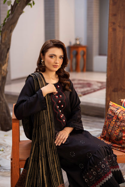 Warm embroidered Dhanak outfit with patterned shawl
