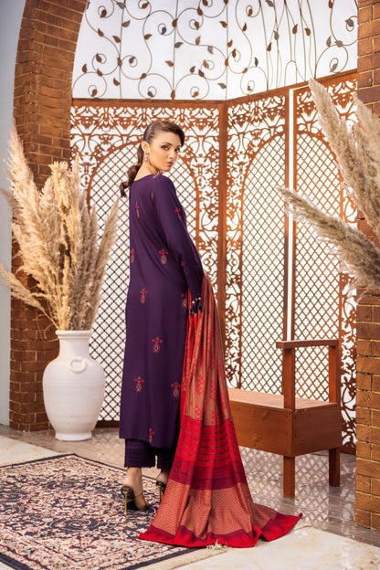Dhanak shirt with organza and daman patches, paired with wool shawl