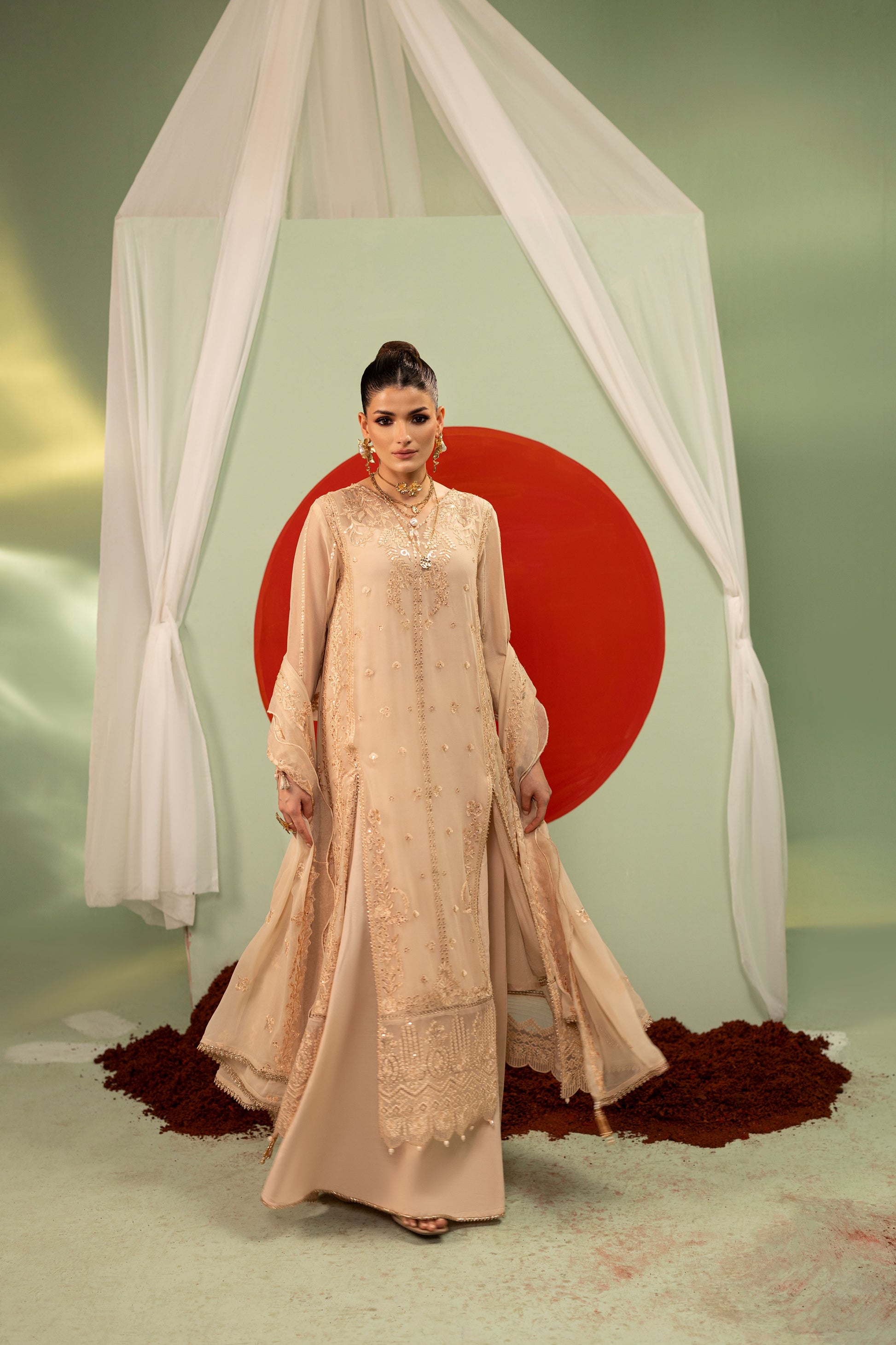 formal chiffon winter dress with embroidered front and sleeves