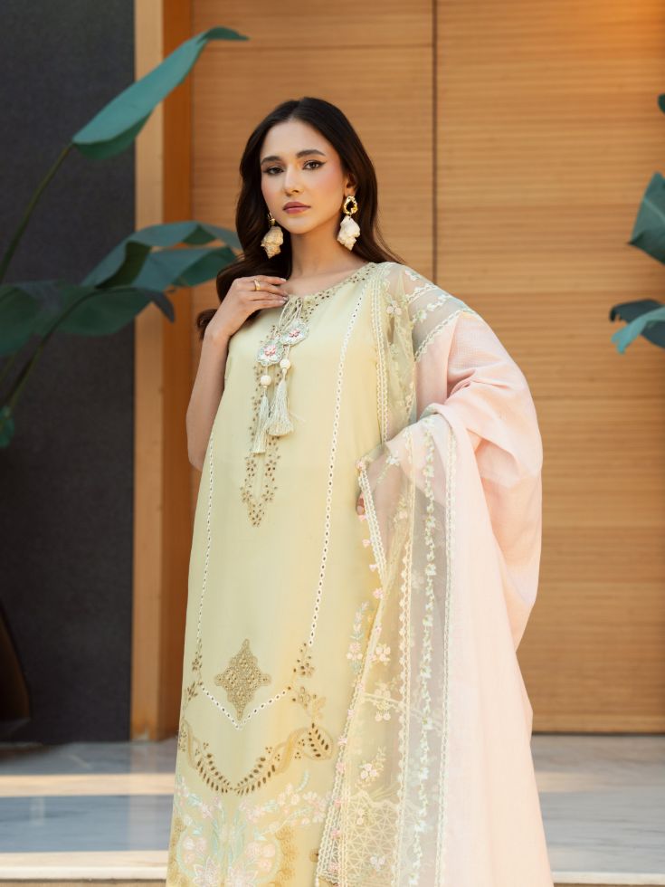 Yellow stitched outfit with embroidered front, organza patch, motifs, and cotton dupatta