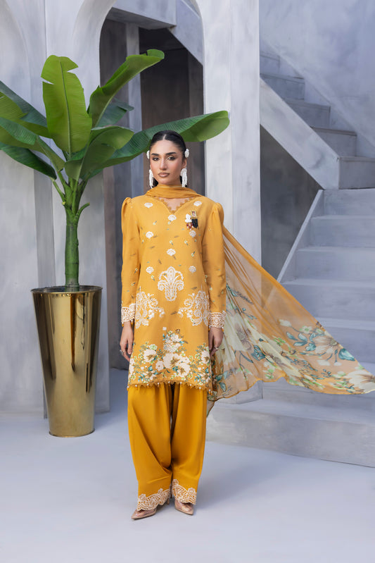 Elegant Karandi 3PC winter suit for formal and casual occasions