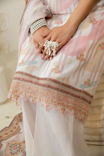 Embroidered detailing on neckline of lawn kurta