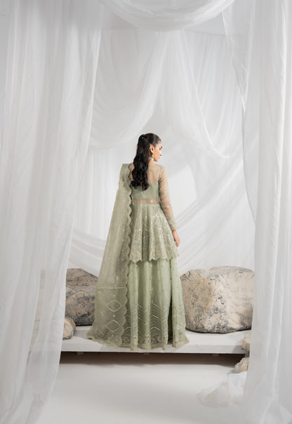 Embroidered organza lehenga featuring detailed embroidery across the shirt front, back, sleeves, and lehenga panels, paired with matching borders, an embroidered organza dupatta, and plain raw silk inner