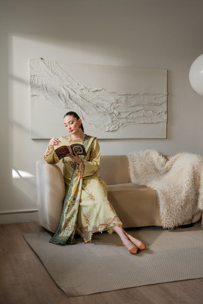 Khaddar winter dress with soft fabric, organza borders, and dyed trousers.