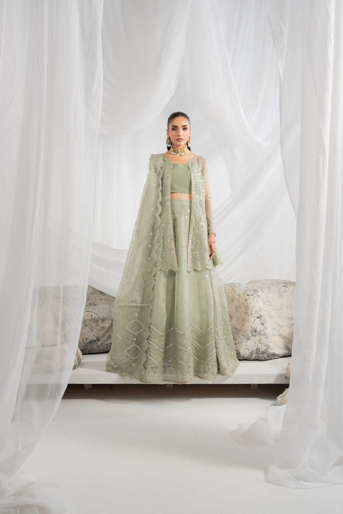 Embroidered Pakistani lehenga design featuring detailed organza work across the front, back, sleeves, and lehenga panels, with matching borders and an embroidered organza dupatta with pallu detailing
