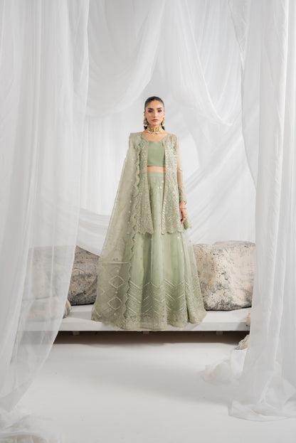 Embroidered Pakistani lehenga design featuring detailed organza work across the front, back, sleeves, and lehenga panels, with matching borders and an embroidered organza dupatta with pallu detailing