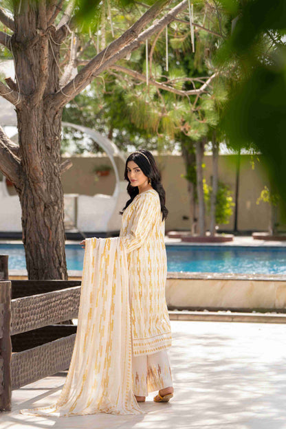 A comfortable printed kurta with embroidery, paired with a light chiffon dupatta for an easy all-day outfit