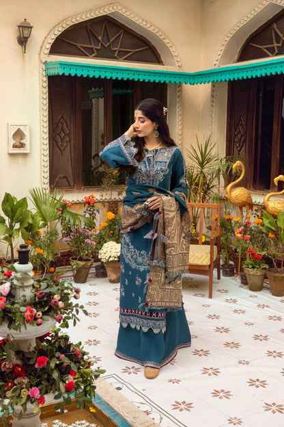 Winter-ready three-piece incorporating intricate embroidery, an organza neckline, and a handwoven Kashmiri shawl.