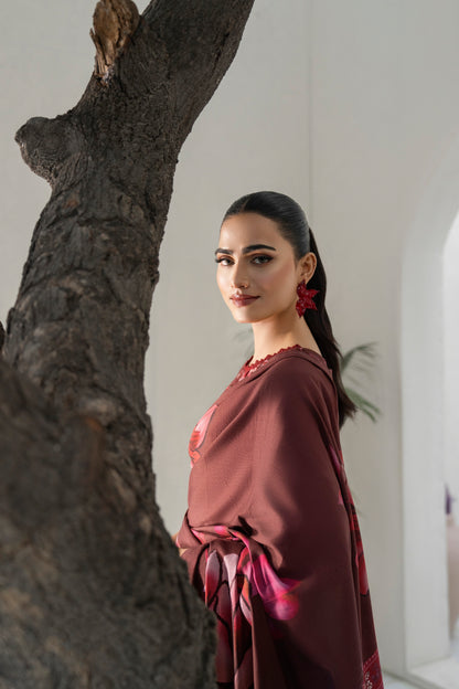 Elegant eastern outfit perfect for women’s fashion