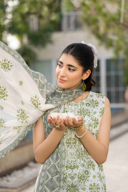 A flowy frock-inspired lawn dress with delicate stitching, enhanced by an embroidered fancy dupatta for a graceful vibe