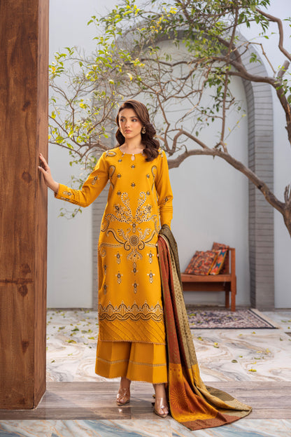 Traditional Dhanak fabric outfit with fine embroidery and woollen shawl