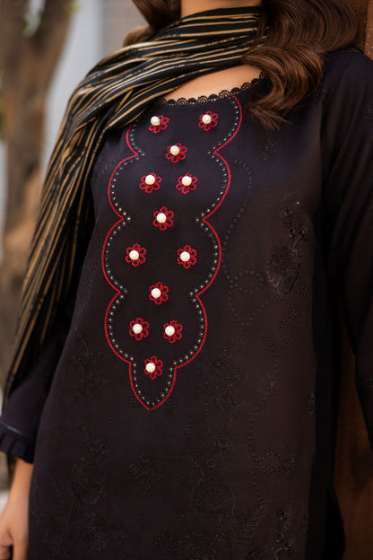 Dhanak suit featuring embroidery and organza patch