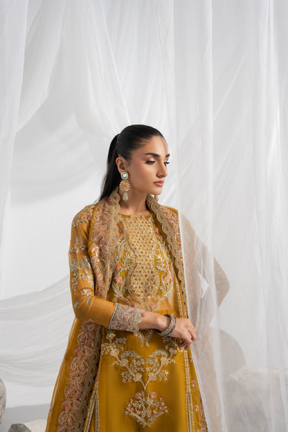 Luxury embroidered organza suit featuring intricate front and back embroidery, detailed sleeves with matching borders, an embroidered back and pallu border, and a flowing organza dupatta with plain raw silk inner and pants