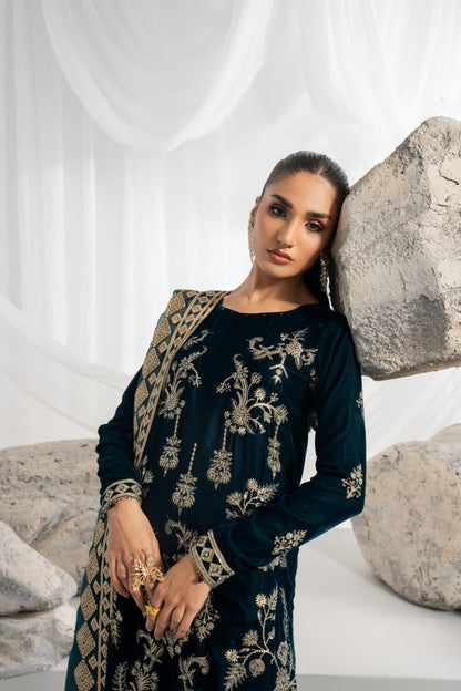 Luxury embroidered velvet outfit featuring a detailed velvet shirt with front and back embroidery, decorated sleeves and matching borders, complemented by an embroidered organza dupatta with pallu detailing and raw silk pants