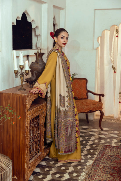 A soft winter outfit featuring whisper-light organza neck detailing, detailed embroidery, and a woven Kashmiri shawl.