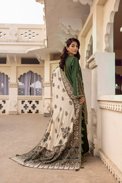 Soft Marina wool dress with an embellished front, organza neck patch, and Kashmiri shawl for elegant winter occasions.