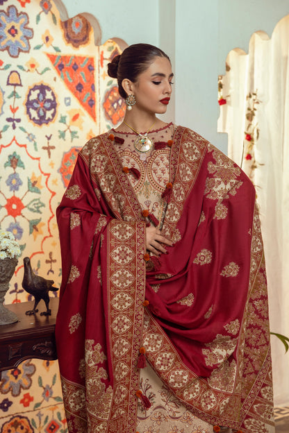 A refined winter outfit crafted from Marina wool with front embroidery, an organza neck patch, and a handwoven Kashmiri shawl for elevated seasonal style.