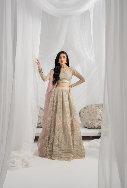 Authentic Traditional Designer Suit - Aurene