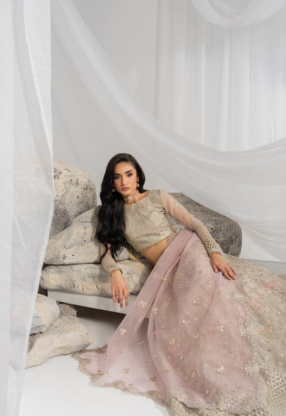 Organza lehenga for weddings featuring rich embroidery on the front, back, sleeves, and lehenga panels, finished with matching borders and an embroidered organza dupatta with pallu detailing, paired with a comfortable plain raw silk inner