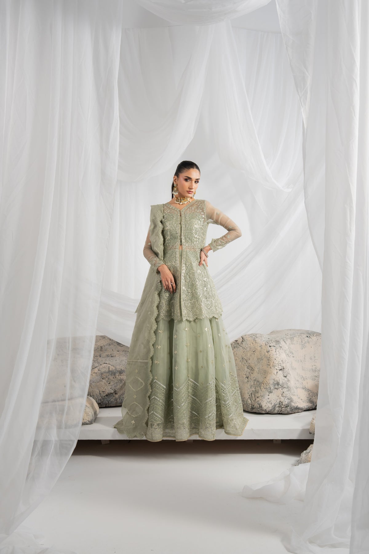 Pakistani embroidered lehenga featuring rich organza embroidery on the front, back, sleeves, and lehenga panels, finished with matching borders and an embroidered organza dupatta with pallu detailing