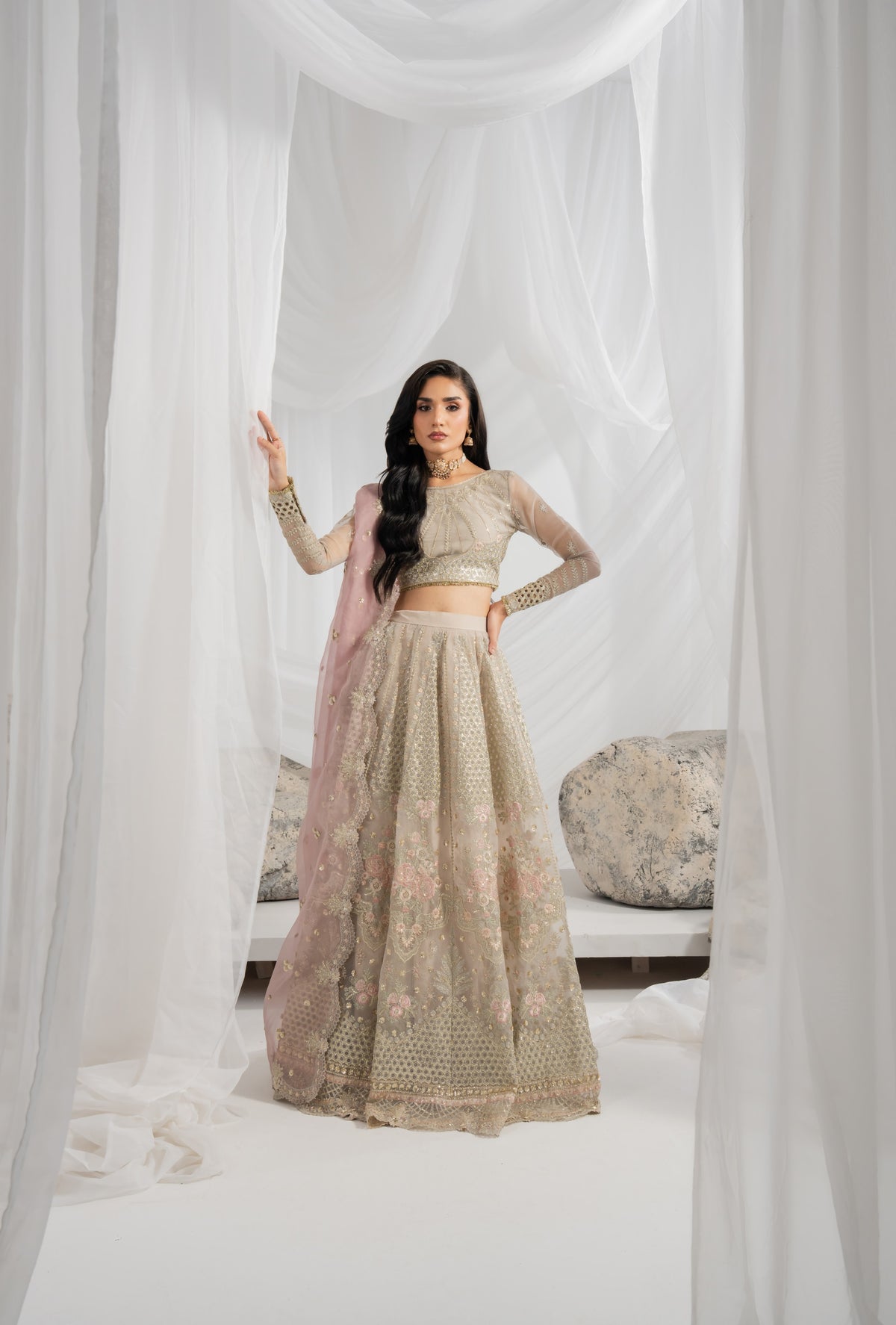 Pakistani embroidered lehenga featuring rich organza embroidery on the front, back, sleeves, and lehenga panels, finished with matching borders and an embroidered organza dupatta with detailed pallu for weddings and parties