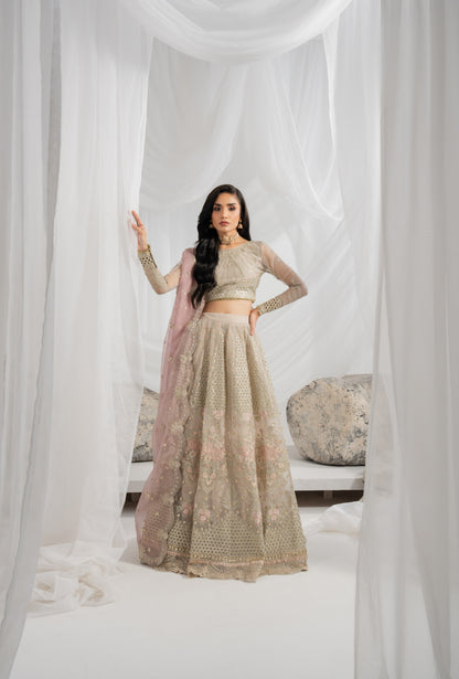 Pakistani embroidered lehenga featuring rich organza embroidery on the front, back, sleeves, and lehenga panels, finished with matching borders and an embroidered organza dupatta with detailed pallu for weddings and parties