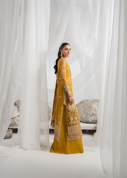 Pakistani embroidered organza dress featuring detailed embroidery on the front panels, back, and sleeves with matching borders, paired with an embroidered organza dupatta with pallu border and plain raw silk pants
