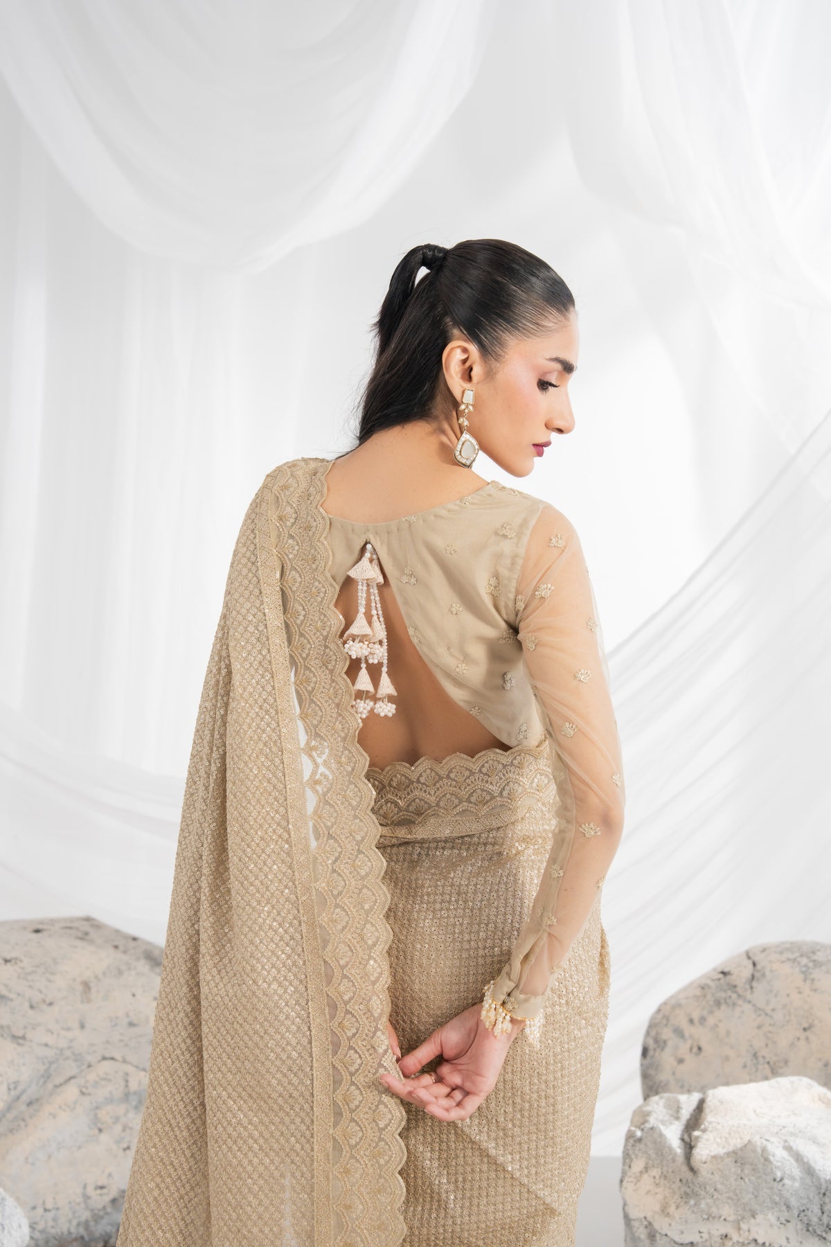 Pakistani embroidered wedding dress featuring detailed net embroidery across the front, back, and sleeves, with an embroidered chiffon dupatta, sari fall and borders, organza sari pallu, and comfortable plain raw silk inner