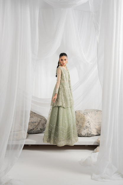Pakistani wedding lehenga featuring rich embroidery on organza front, back, sleeves, and lehenga panels, complemented by matching borders, an embroidered organza dupatta, and a plain raw silk inner