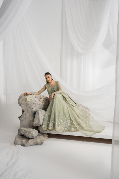 Pakistani lehnga for women featuring rich organza embroidery on the front, back, sleeves, and lehenga panels, with matching borders and an embroidered organza dupatta with detailed pallu finishing