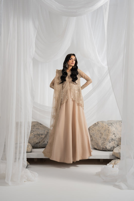 Pakistani traditional dress with embroidered organza shirt