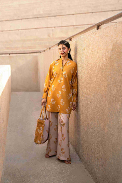 Stitched Jacquard kurta with embroidery and bell sleeves paired with cotton trousers