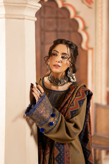 Fashion-forward embroidered winter dress paired with textured jacquard wool shawl.