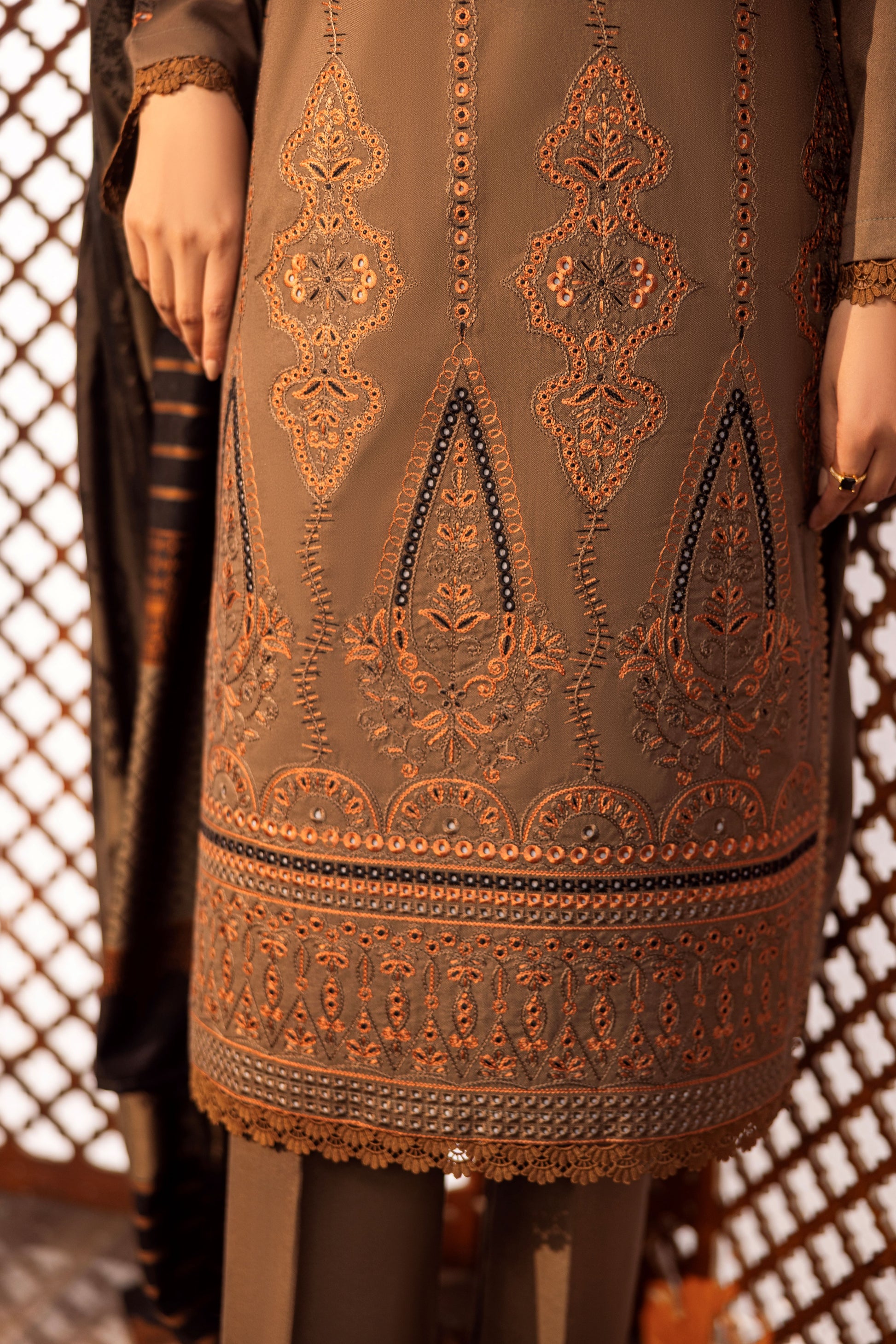 Fancy winter dress with rich embroidery and Jacquard woollen shawl