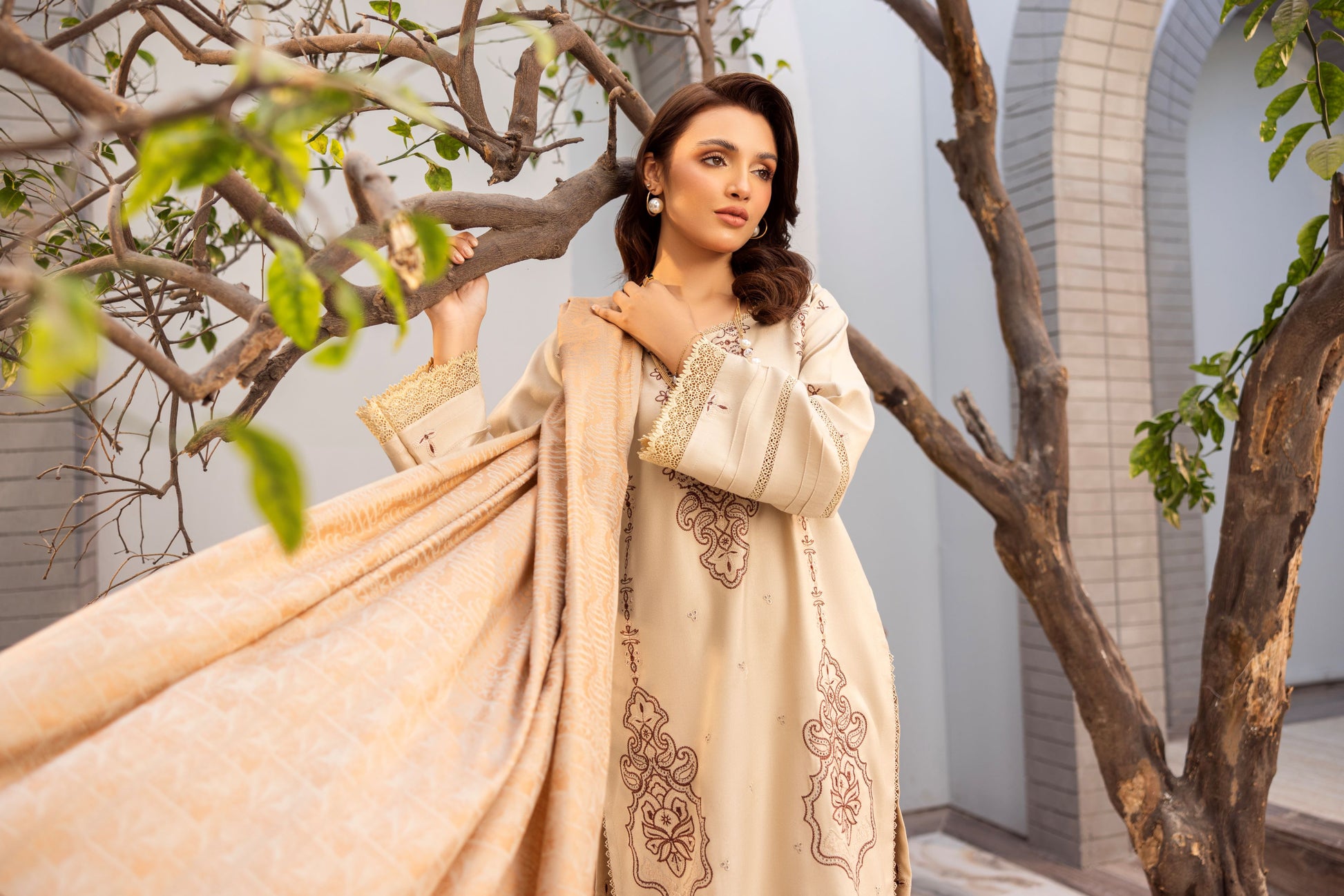 Lightweight embroidered Dhanak outfit ideal for daytime wear