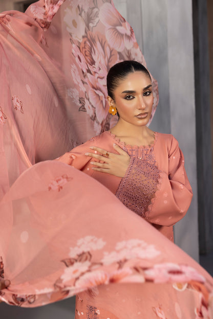 Elegant embroidered Karandi winter outfit with chiffon dupatta