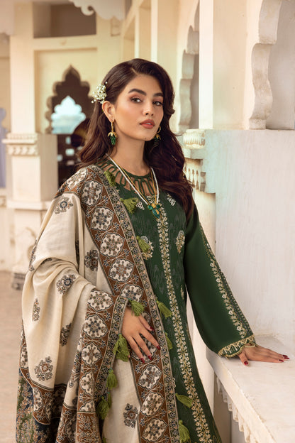 Luminous embroidered Marina wool dress paired with a handcrafted Kashmiri wrap and tailored trousers.