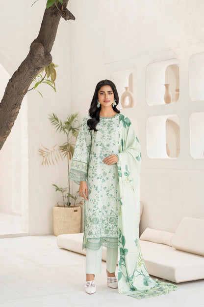Cozy winter outfit in traditional khaddar style
